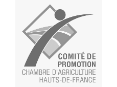 comite-promotion