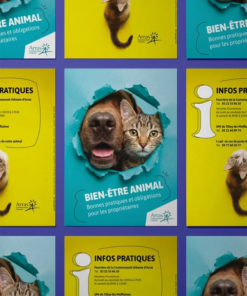 CUA-Campagne-Animaux-domestiques